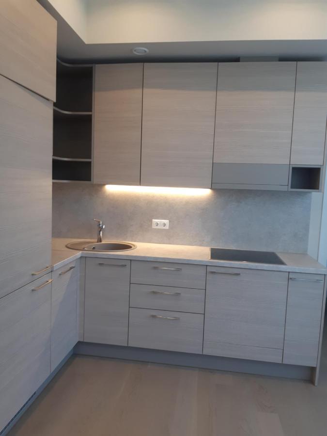 Apartment In Druskininkai City Centre Экстерьер фото