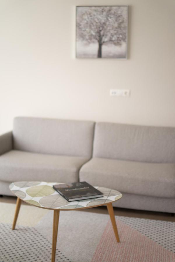 Apartment In Druskininkai City Centre Экстерьер фото