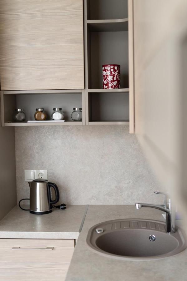 Apartment In Druskininkai City Centre Экстерьер фото