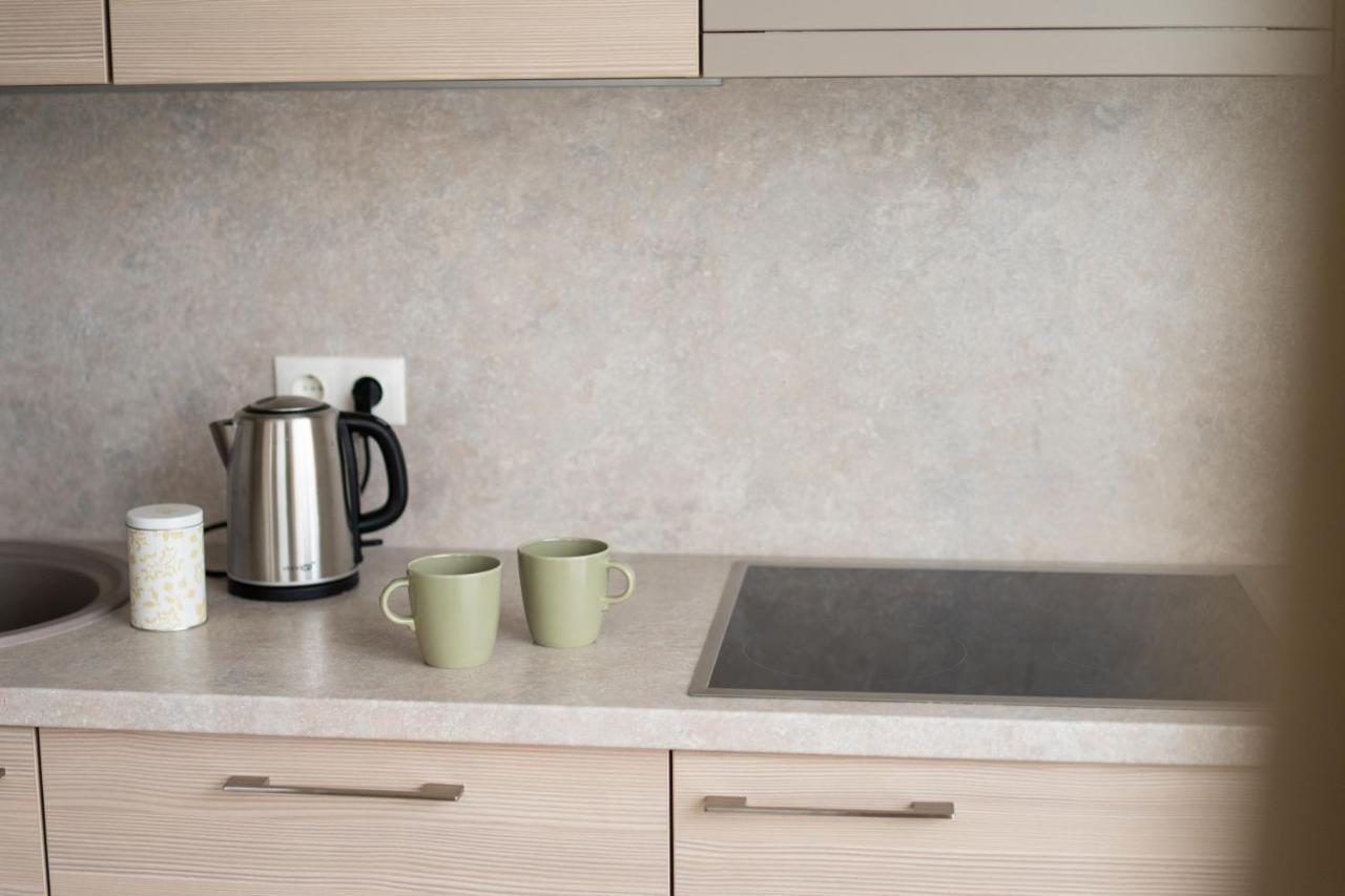 Apartment In Druskininkai City Centre Экстерьер фото